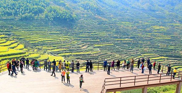 仙居农业观光园_仙居乡村旅游目的地_仙居特色农业旅游