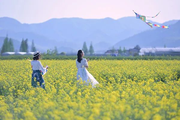 仙居乡村旅游目的地_仙居特色农业旅游_仙居农业观光园