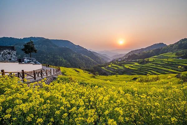 仙居农业观光园_仙居特色农业旅游_仙居乡村旅游目的地