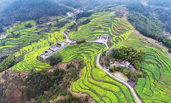 仙居特色农业旅游_仙居农业观光园_仙居乡村旅游目的地