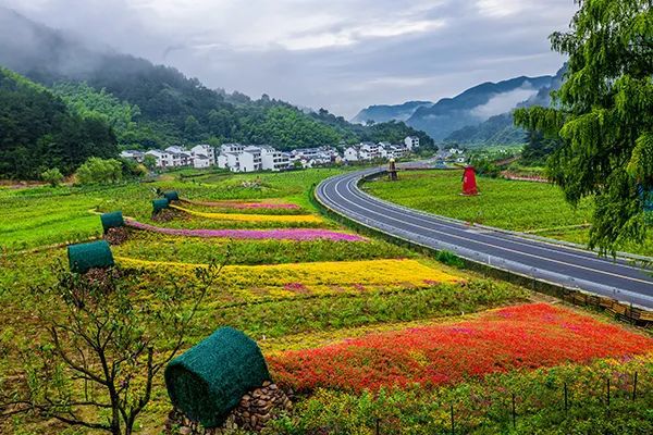 仙居特色农业旅游_仙居农业观光园_仙居乡村旅游目的地