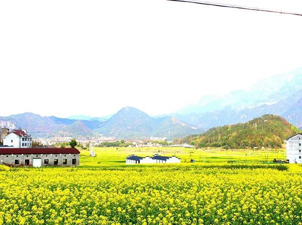 仙居乡村旅游目的地_仙居农业观光园_仙居特色农业旅游