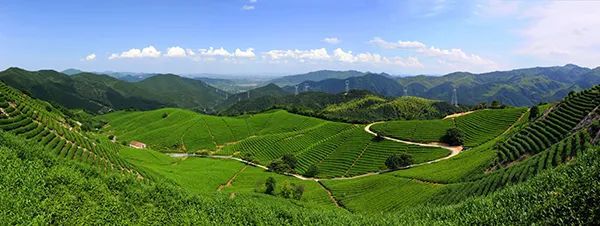 仙居农业观光园_仙居乡村旅游目的地_仙居特色农业旅游