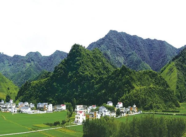 仙居特色农业旅游_仙居农业观光园_仙居乡村旅游目的地