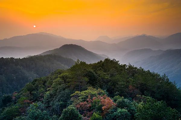 仙居乡村旅游目的地_仙居特色农业旅游_仙居农业观光园