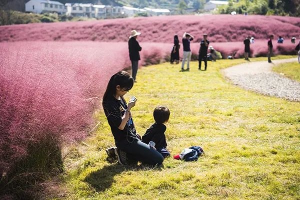 仙居乡村旅游目的地_仙居特色农业旅游_仙居农业观光园