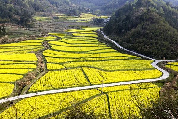 仙居农业观光园_仙居乡村旅游目的地_仙居特色农业旅游