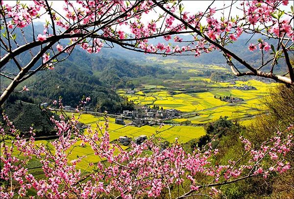 仙居特色农业旅游_仙居乡村旅游目的地_仙居农业观光园