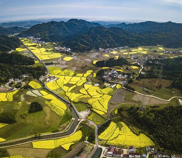 仙居农业观光园_仙居乡村旅游目的地_仙居特色农业旅游