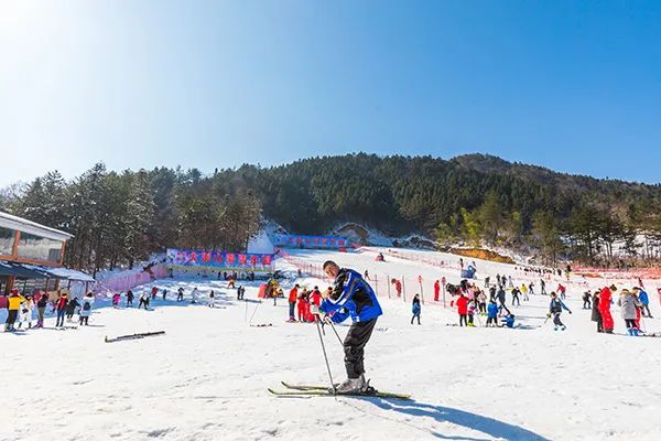 仙居乡村旅游目的地_仙居特色农业旅游_仙居农业观光园