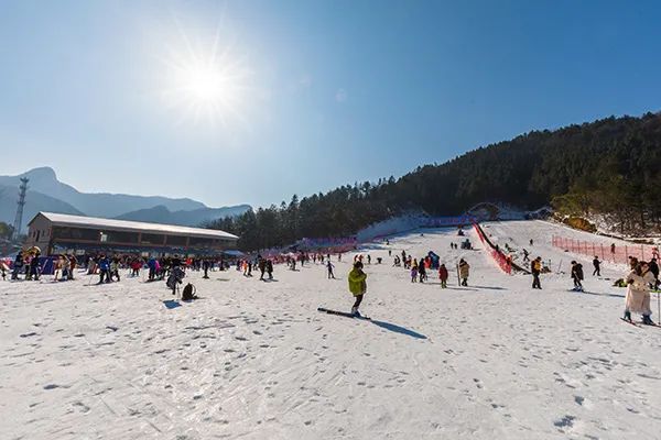 仙居乡村旅游目的地_仙居农业观光园_仙居特色农业旅游