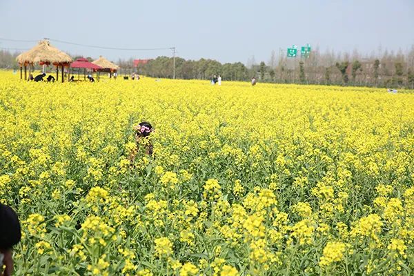 仙居特色农业旅游_仙居农业观光园_仙居乡村旅游目的地