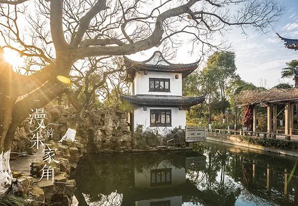 仙居特色农业旅游_仙居乡村旅游目的地_仙居农业观光园