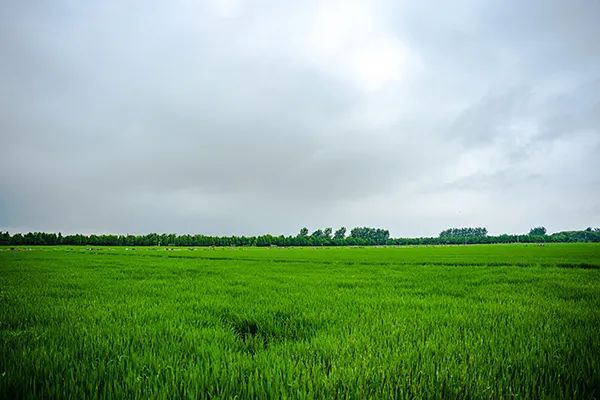 仙居特色农业旅游_仙居乡村旅游目的地_仙居农业观光园