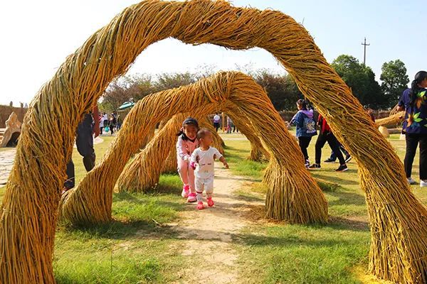 仙居特色农业旅游_仙居农业观光园_仙居乡村旅游目的地