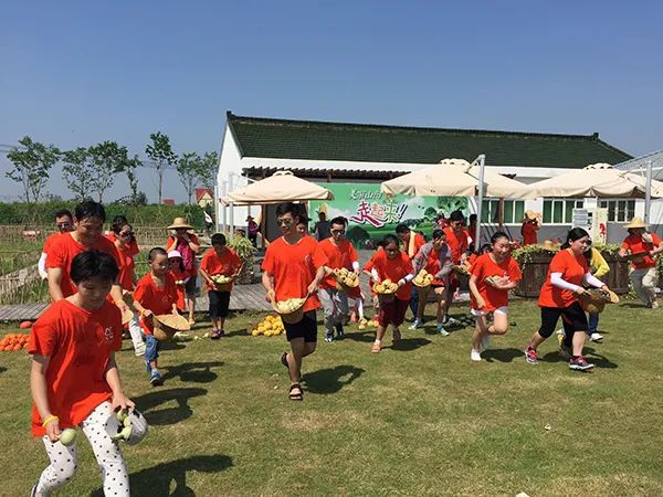 仙居乡村旅游目的地_仙居农业观光园_仙居特色农业旅游