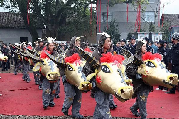 仙居特色农业旅游_仙居乡村旅游目的地_仙居农业观光园