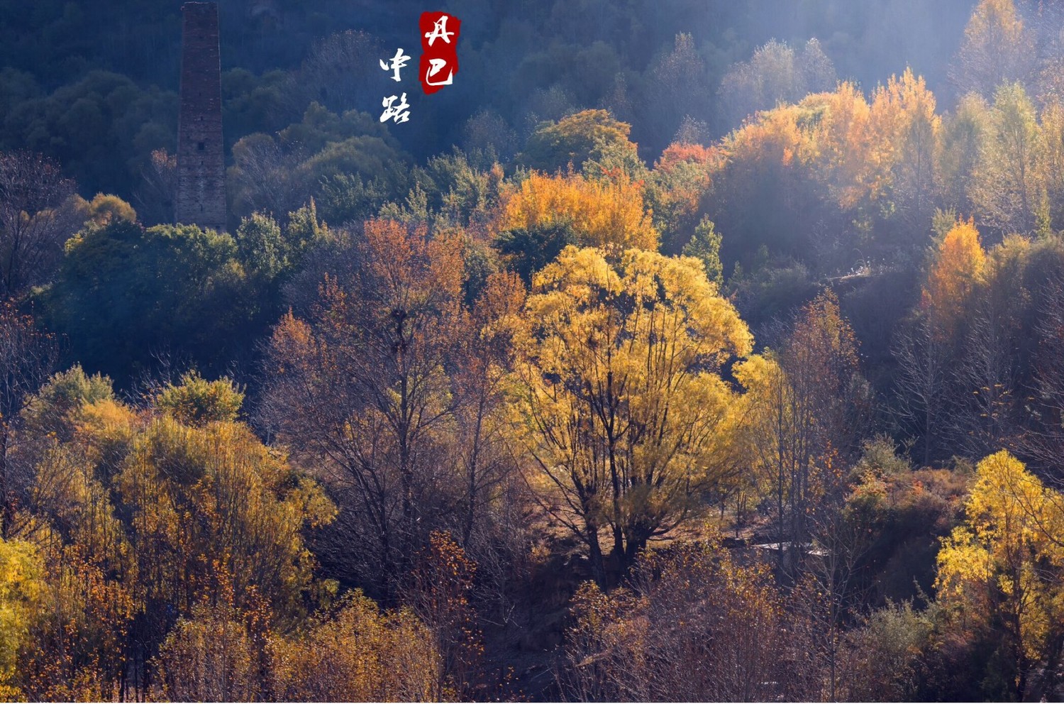 金秋时节四川旅游景点_四川秋季旅游景点_金秋四川旅游景点推荐