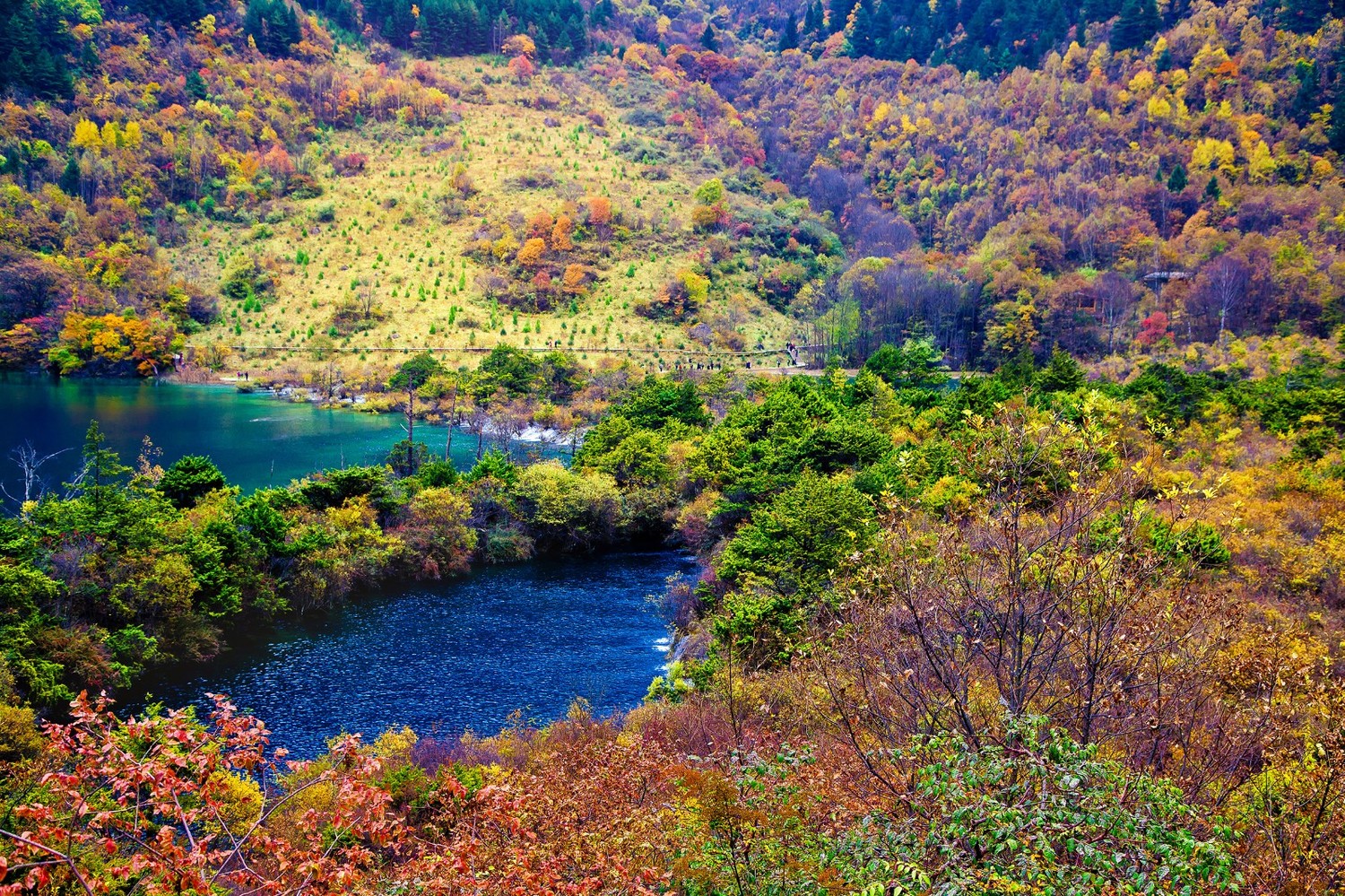 金秋四川旅游景点推荐_四川秋季旅游景点_金秋时节四川旅游景点