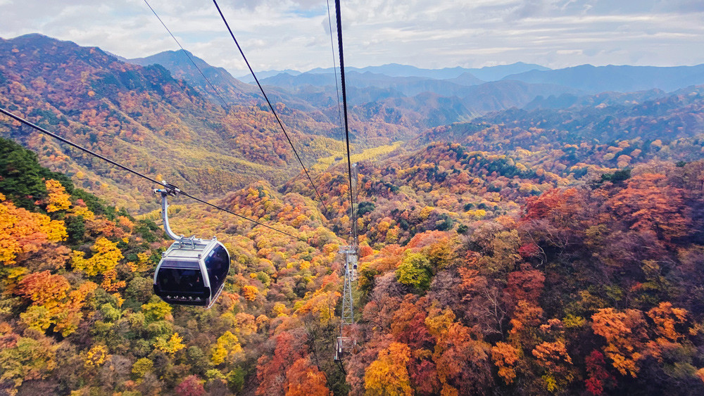 金秋时节四川旅游景点_四川秋季旅游景点_金秋四川旅游景点推荐