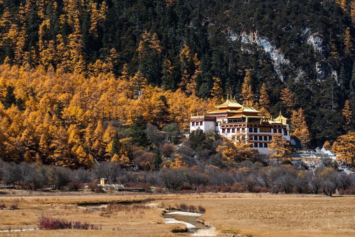 金秋四川旅游景点推荐_金秋时节四川旅游景点_四川秋季旅游景点