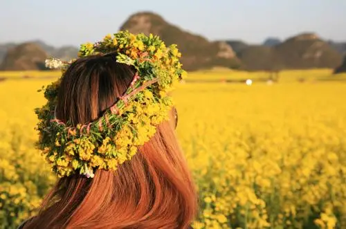 适合去云南旅游季节_最适合云南旅游的季节_从云南出发最佳旅游季节