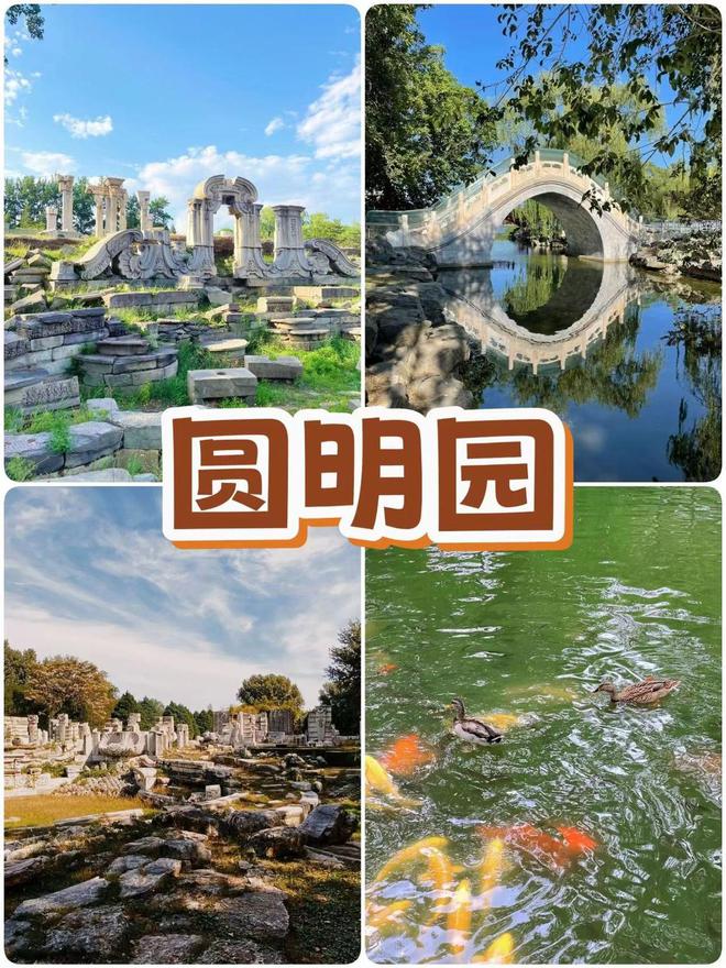 旅游自由行是什么意思_5日自由行旅游_旅游自由行行李怎么办