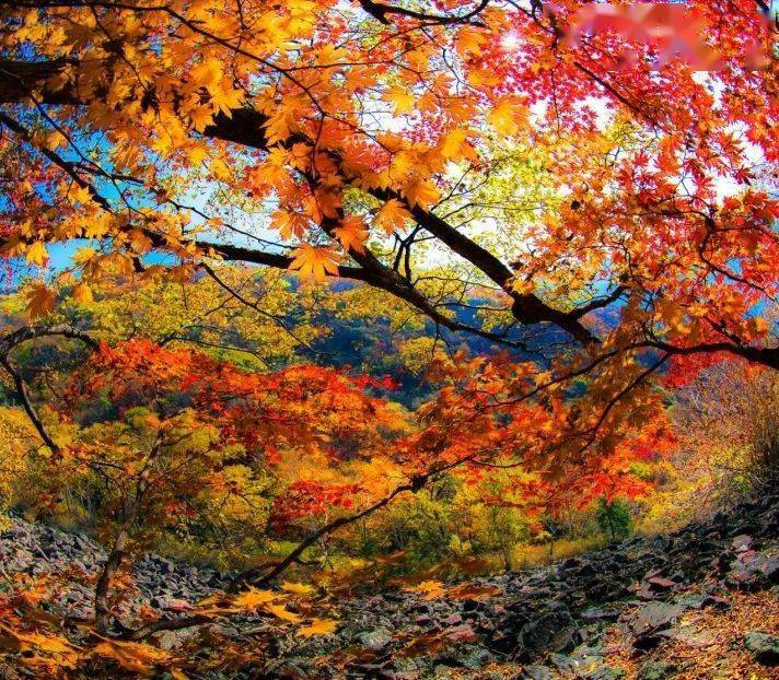 宽甸旅游景点_宽甸一日游_宽甸旅游季节