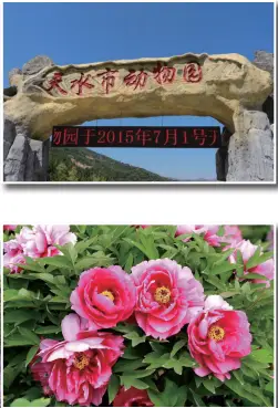 李村旅游景点特色_李村好玩吗_李村附近景点