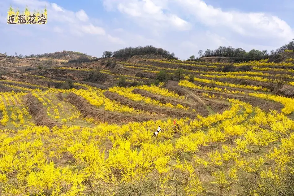 李村好玩吗_李村附近景点_李村旅游景点特色