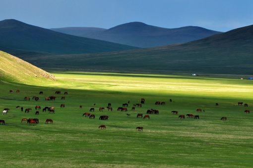 房车自由旅游感受_房车旅游自由感受与收获_房车旅游心情说说