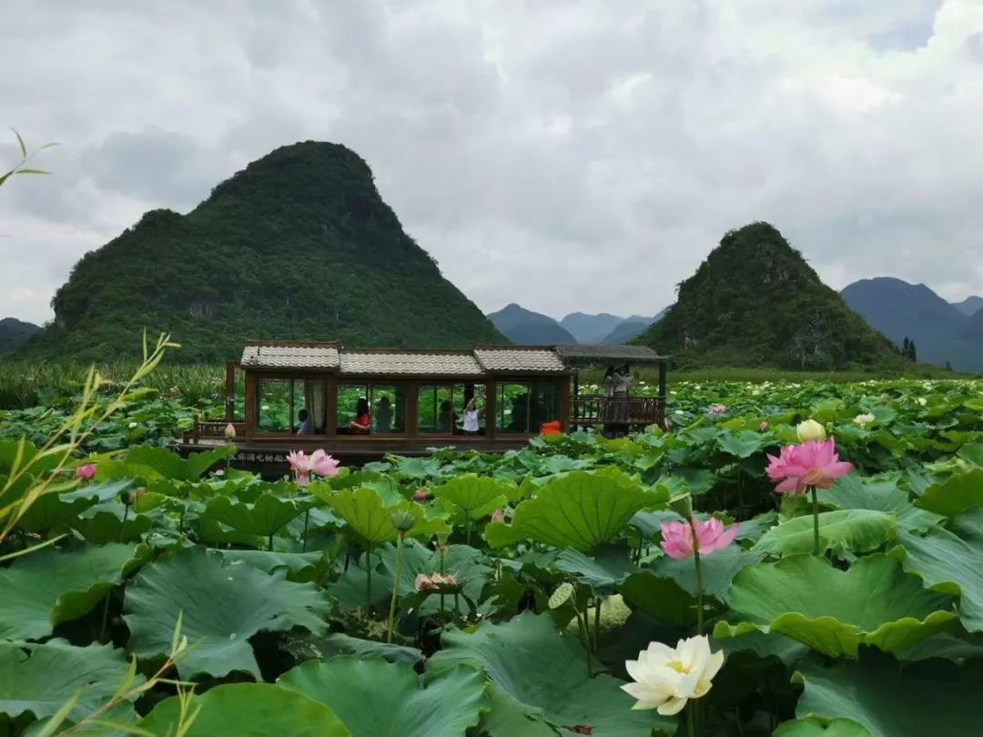 普者黑旅游后的感言_这个季节去普者黑好玩吗_什么季节去普者黑旅游最好