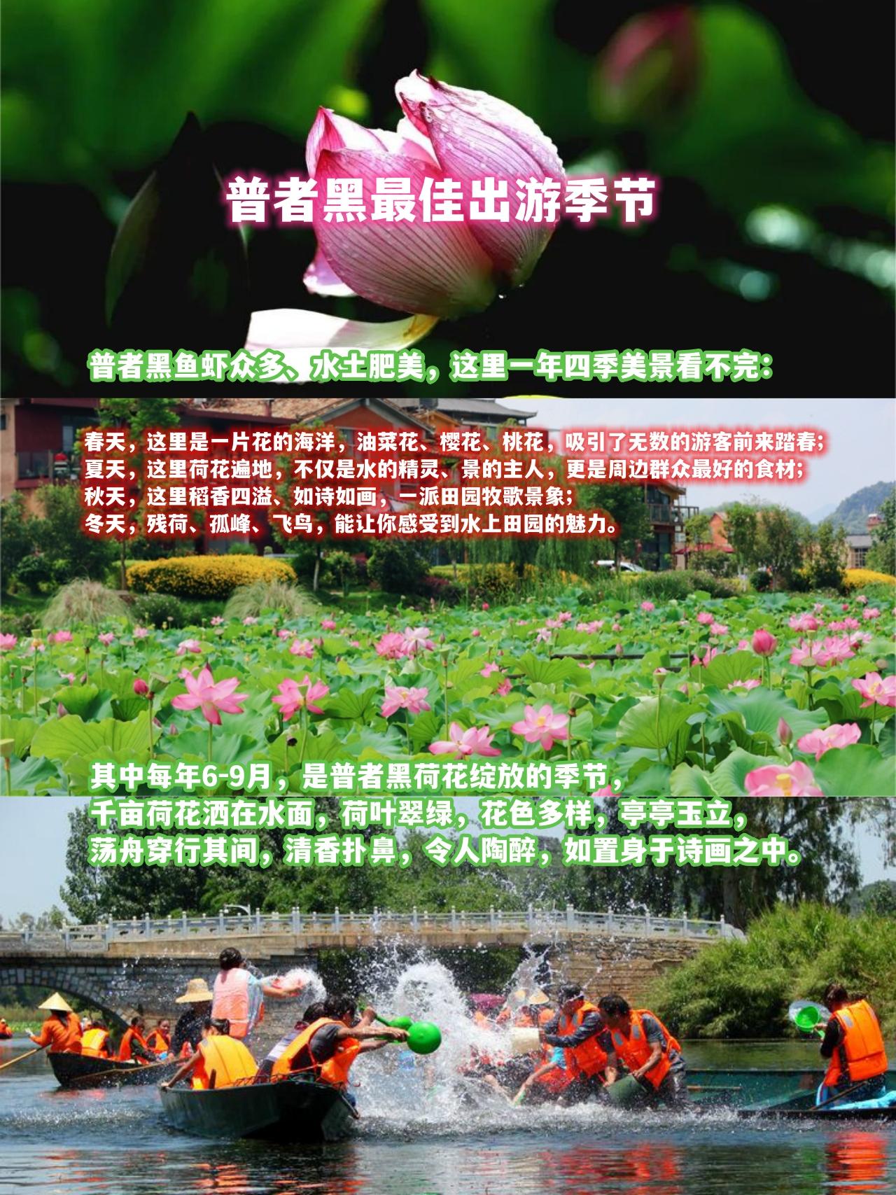 普者黑旅游后的感言_什么季节去普者黑旅游最好_这个季节去普者黑好玩吗