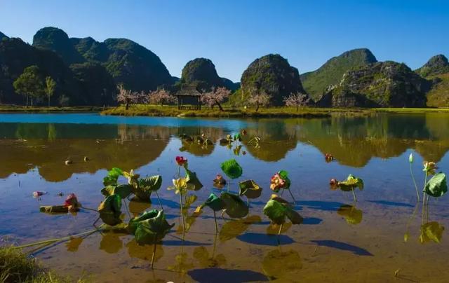 普者黑旅游后的感言_什么季节去普者黑旅游最好_普者黑旅游旺季