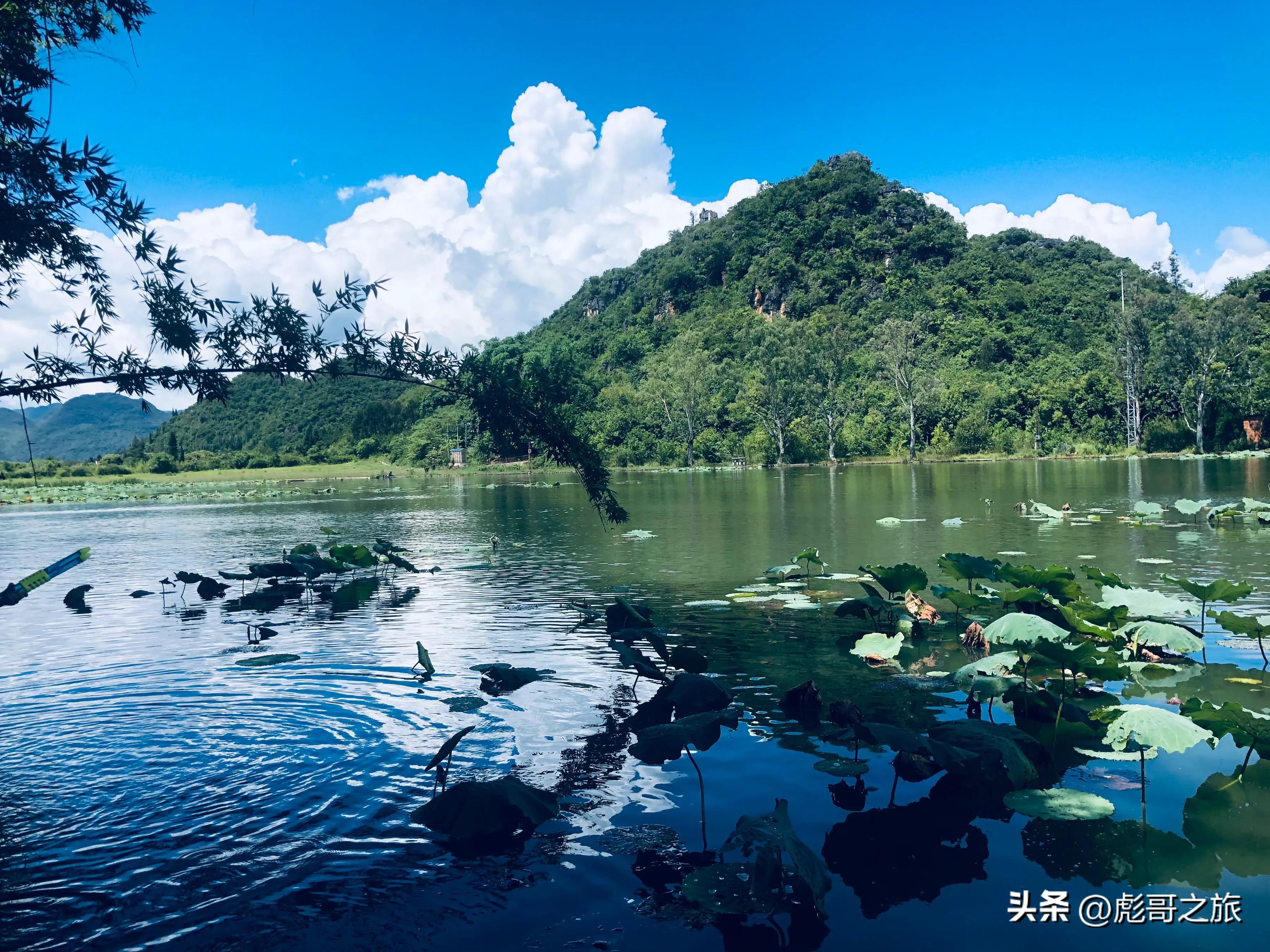 这个季节去普者黑好玩吗_普者黑旅游的最佳时间_什么季节去普者黑旅游最好