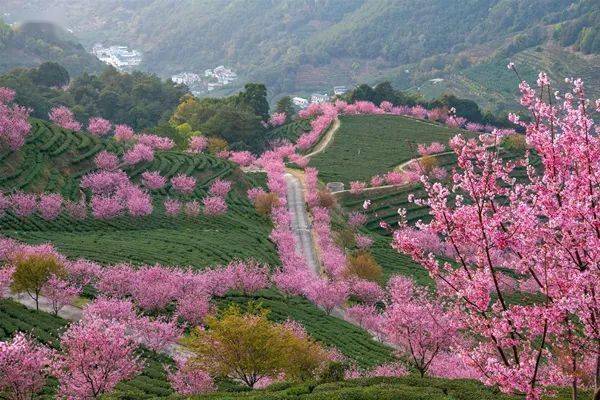 梅州丙村景点_梅州丙村网红圣地_梅州丙村旅游线路