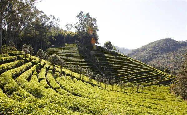 梅州丙村旅游线路_梅州丙村网红圣地_梅州丙村景点