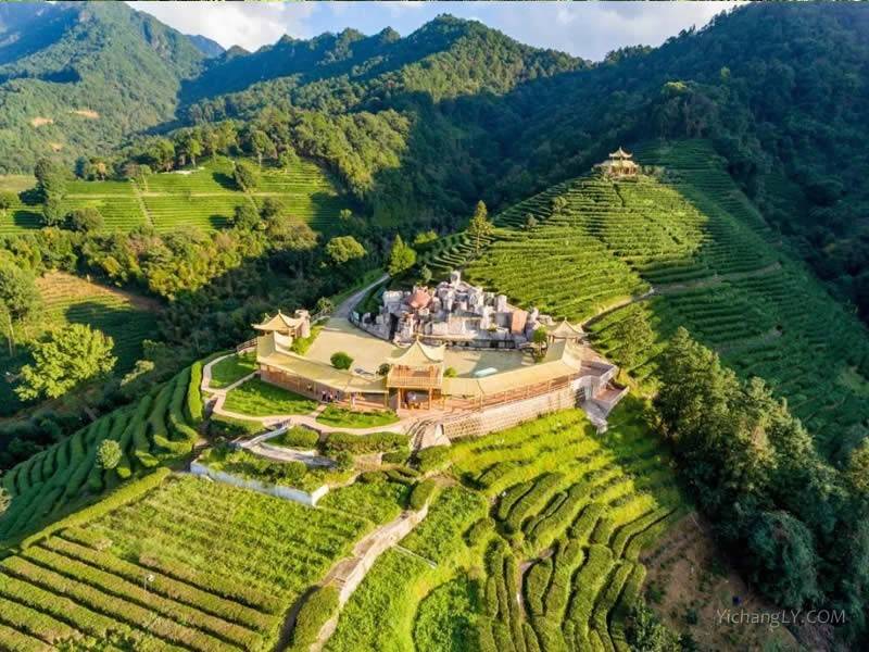 梅州雁南飞茶田景区3