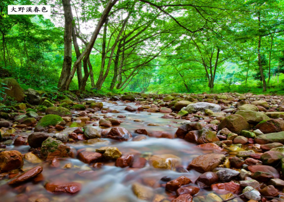 韶山最佳旅游时间_2021春节韶山旅游_韶山旅游好时节在哪里