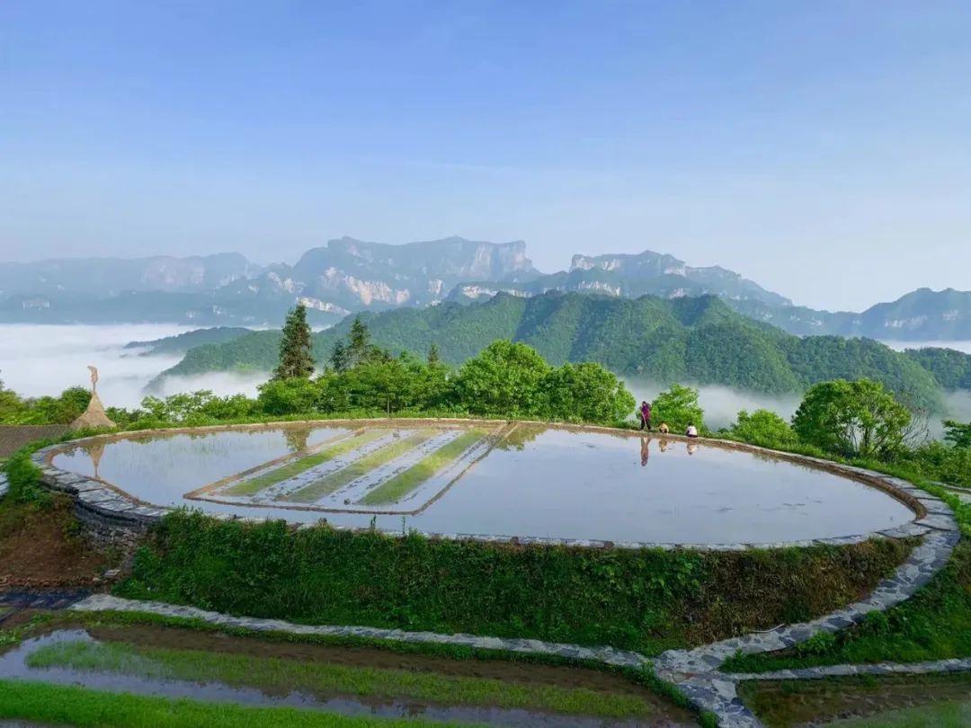 韶山旅游好时节在哪里_韶山最佳旅游时间_2021春节韶山旅游