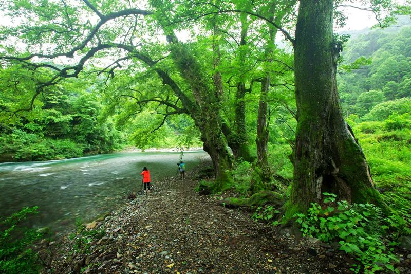 韶山最佳旅游时间_韶山旅游好时节在哪里_2021春节韶山旅游