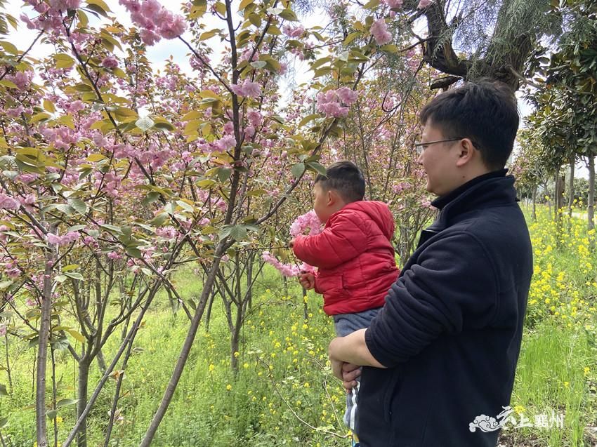 清明节适合旅游的景点_清明节旅游好么_清明节旅游好时节