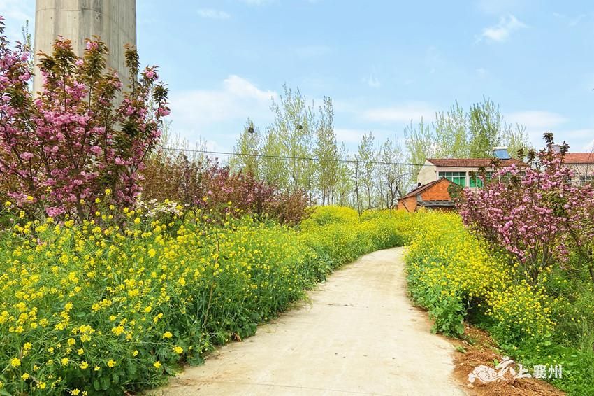 清明节适合旅游的景点_清明节旅游好么_清明节旅游好时节