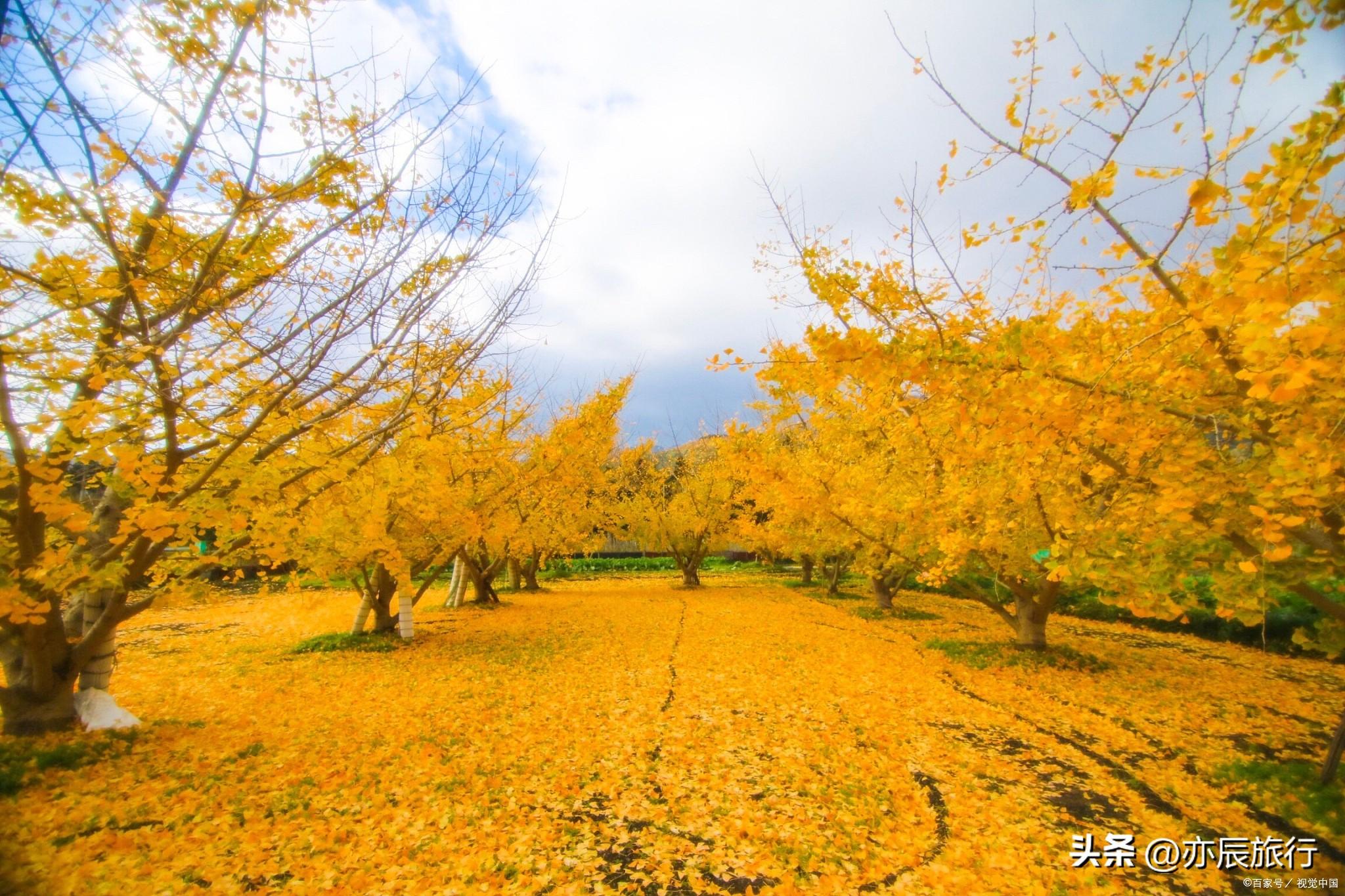 贵林旅游季节_贵林旅游季节_贵林旅游季节