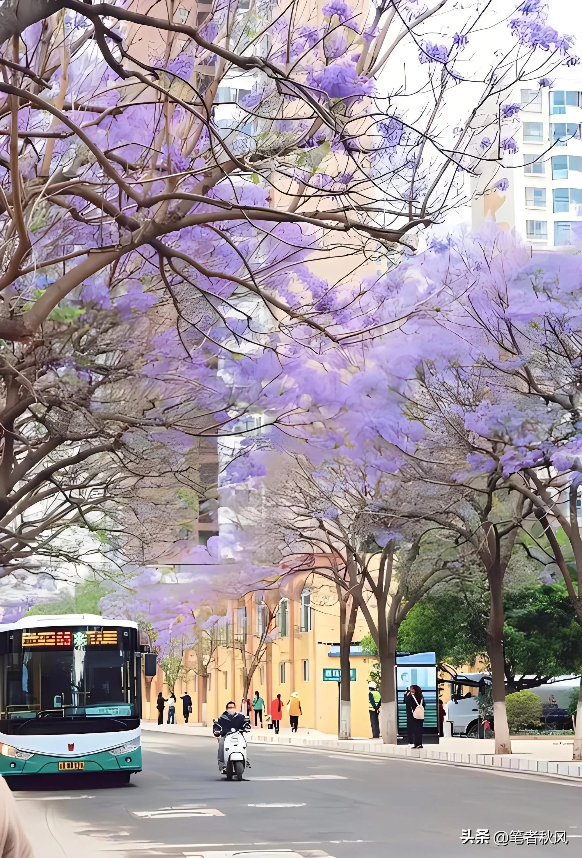 时节春天旅游好玩吗_春天旅游季节_春天什么时节旅游最好