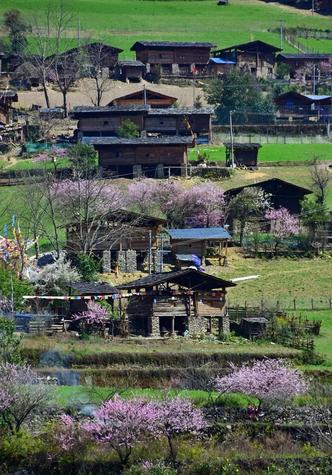 丽江天气季节旅游好的地方_丽江旅游天气最好季节_丽江天气季节旅游好吗