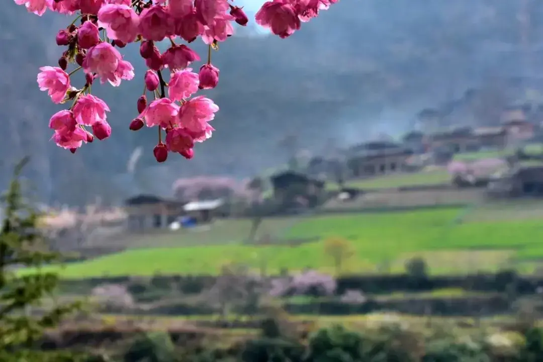 丽江天气季节旅游好的地方_丽江旅游天气最好季节_丽江天气季节旅游好吗