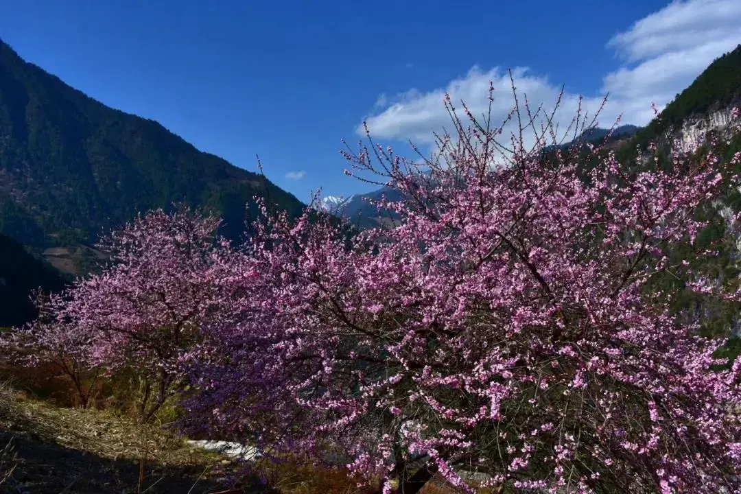 丽江天气季节旅游好的地方_丽江天气季节旅游好吗_丽江旅游天气最好季节