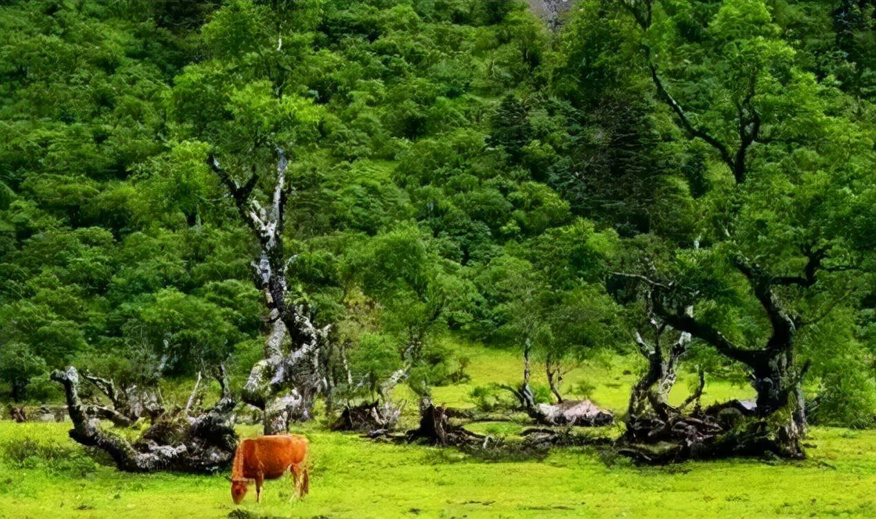 丽江旅游天气最好季节_丽江天气季节旅游好的地方_丽江天气季节旅游好吗