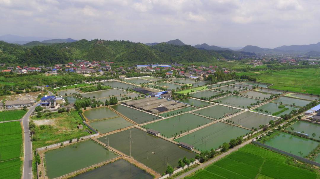 休闲特色村旅游线路_休闲度假型乡村旅游_休闲旅游线路设计